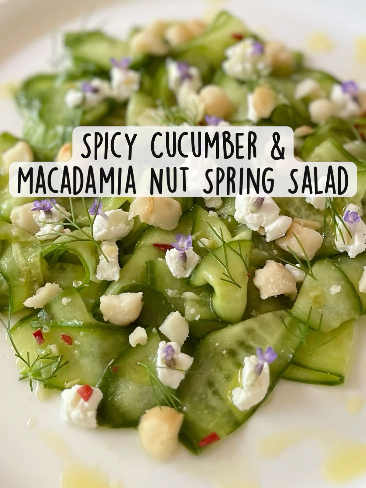Spicy Cucumber & Macadamia Nut Spring Salad